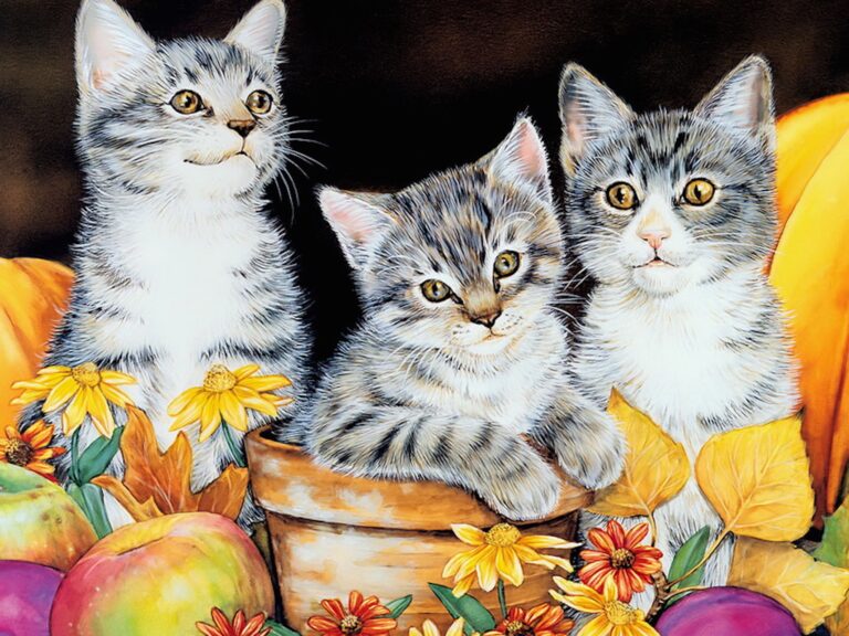 autumn kittens painting wallpaper — three tabby kittens in terracotta pot with pumpkins sunflowers and autumn leaves, Jane Maday watercolor