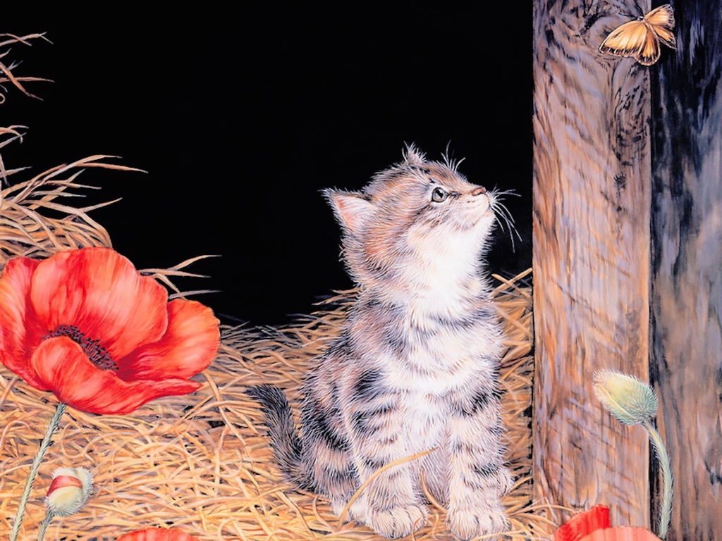 kitten contemplating painting wallpaper — tabby kitten sitting in hay looking up at butterfly near dark tree trunk with red poppies, Jane Maday