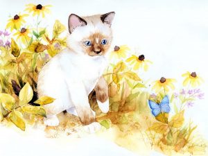 kitten staring painting wallpaper — Birman kitten with blue eyes among black-eyed Susan flowers and blue butterfly, loose Jane Maday watercolor style