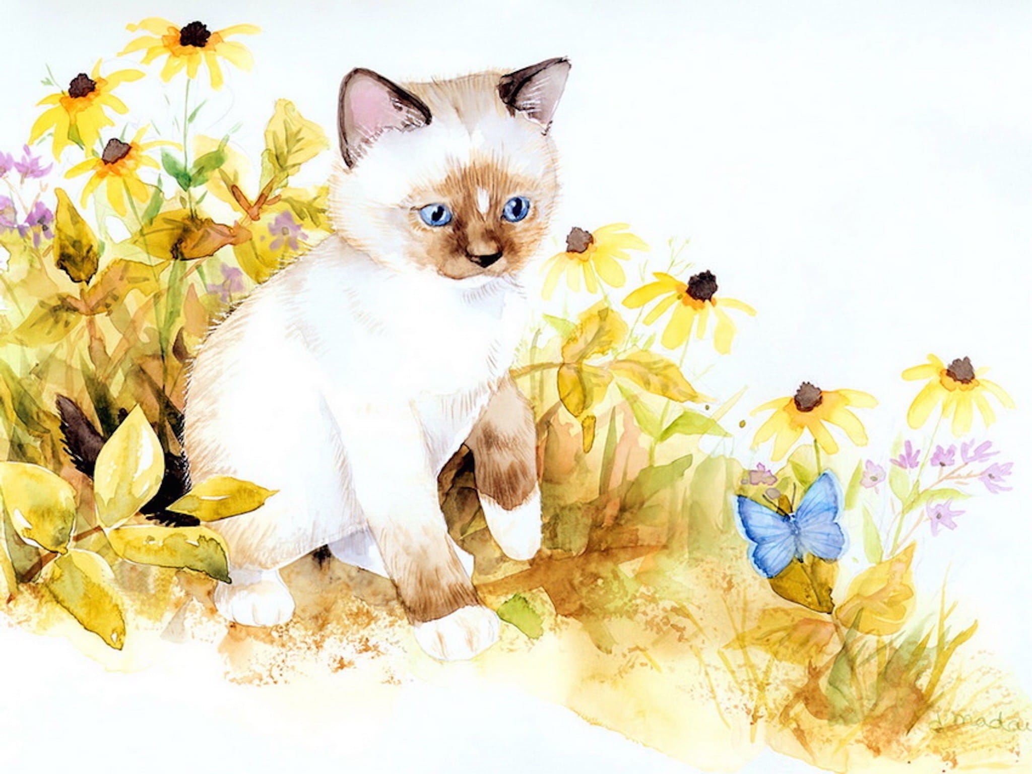 kitten staring painting wallpaper — Birman kitten with blue eyes among black-eyed Susan flowers and blue butterfly, loose Jane Maday watercolor style