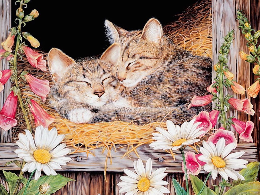 kittens sleeping painting wallpaper — two tabby kittens sleeping together in hay in barn window with foxgloves and daisies, Jane Maday watercolor