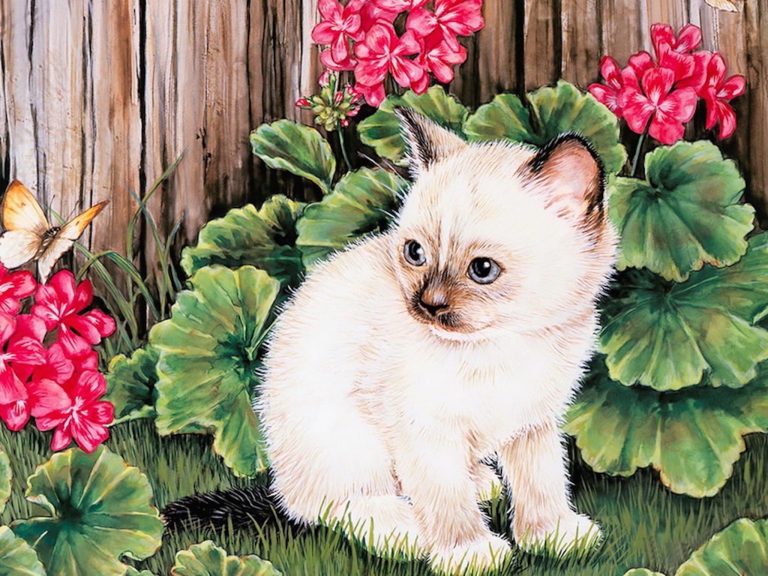 kitten butterfly painting wallpaper — Himalayan kitten sitting in garden with pink geraniums and yellow butterfly, Jane Maday watercolor