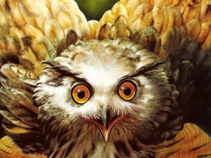 Owl Eyes painting wallpaper — hyper-realistic digital art of owl face with golden eyes and fanned feathers in warm tones