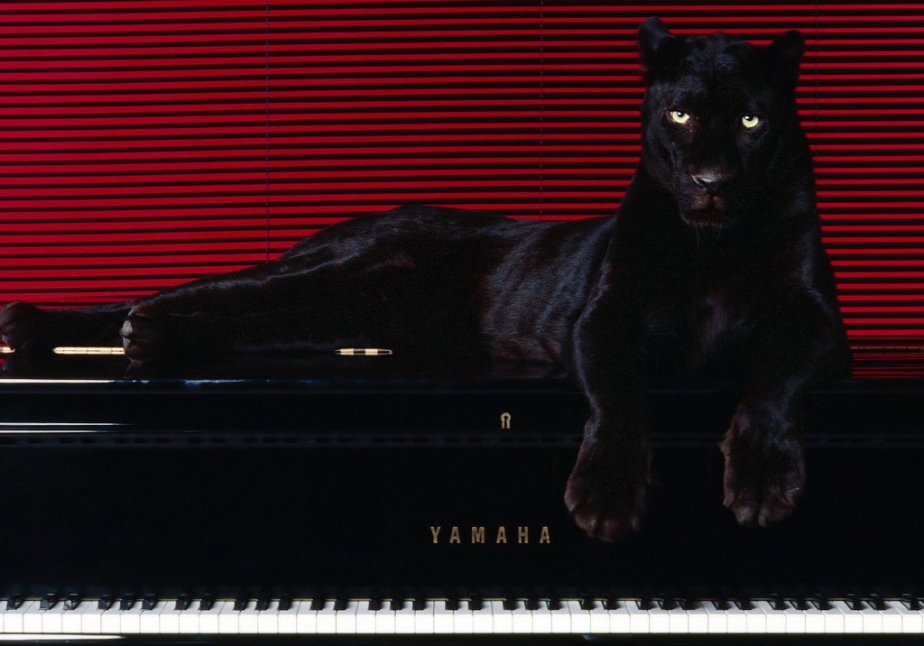 Black Panther Piano Wallpaper