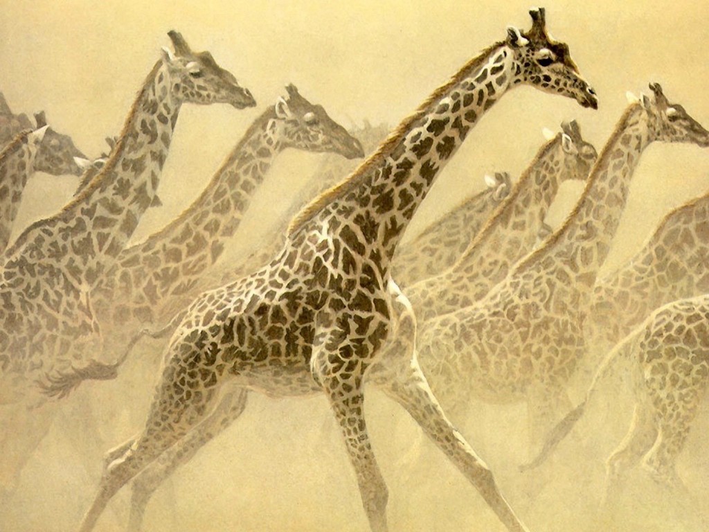 giraffes painting wallpaper — Robert Bateman painting of running giraffe herd emerging from dust cloud in warm sepia tones