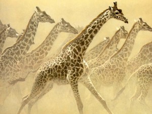 giraffes painting wallpaper — Robert Bateman painting of running giraffe herd emerging from dust cloud in warm sepia tones
