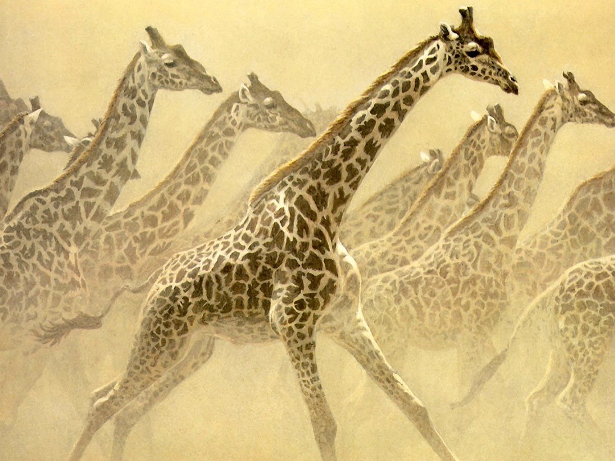 giraffes painting wallpaper — Robert Bateman painting of running giraffe herd emerging from dust cloud in warm sepia tones