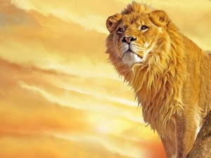 Lion painting wallpaper — majestic lion with full golden mane on rocky outcrop against orange and gold sunset sky digital art