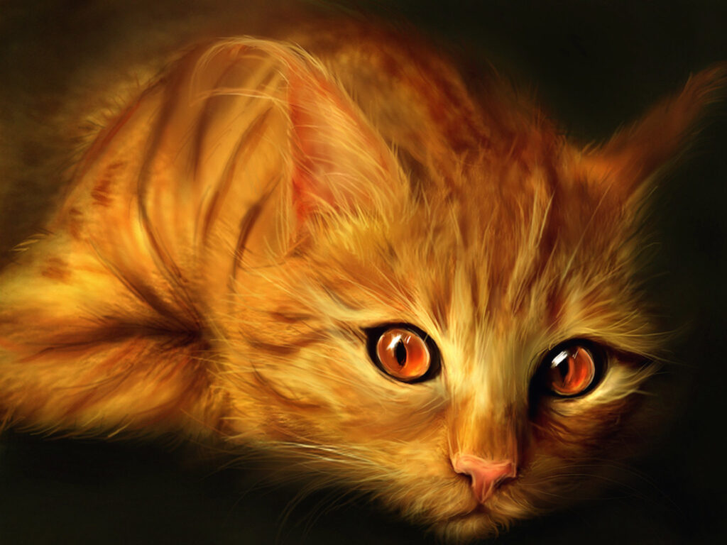 orange cat painting wallpaper — digital painting of orange tabby kitten with luminous amber eyes against dark background