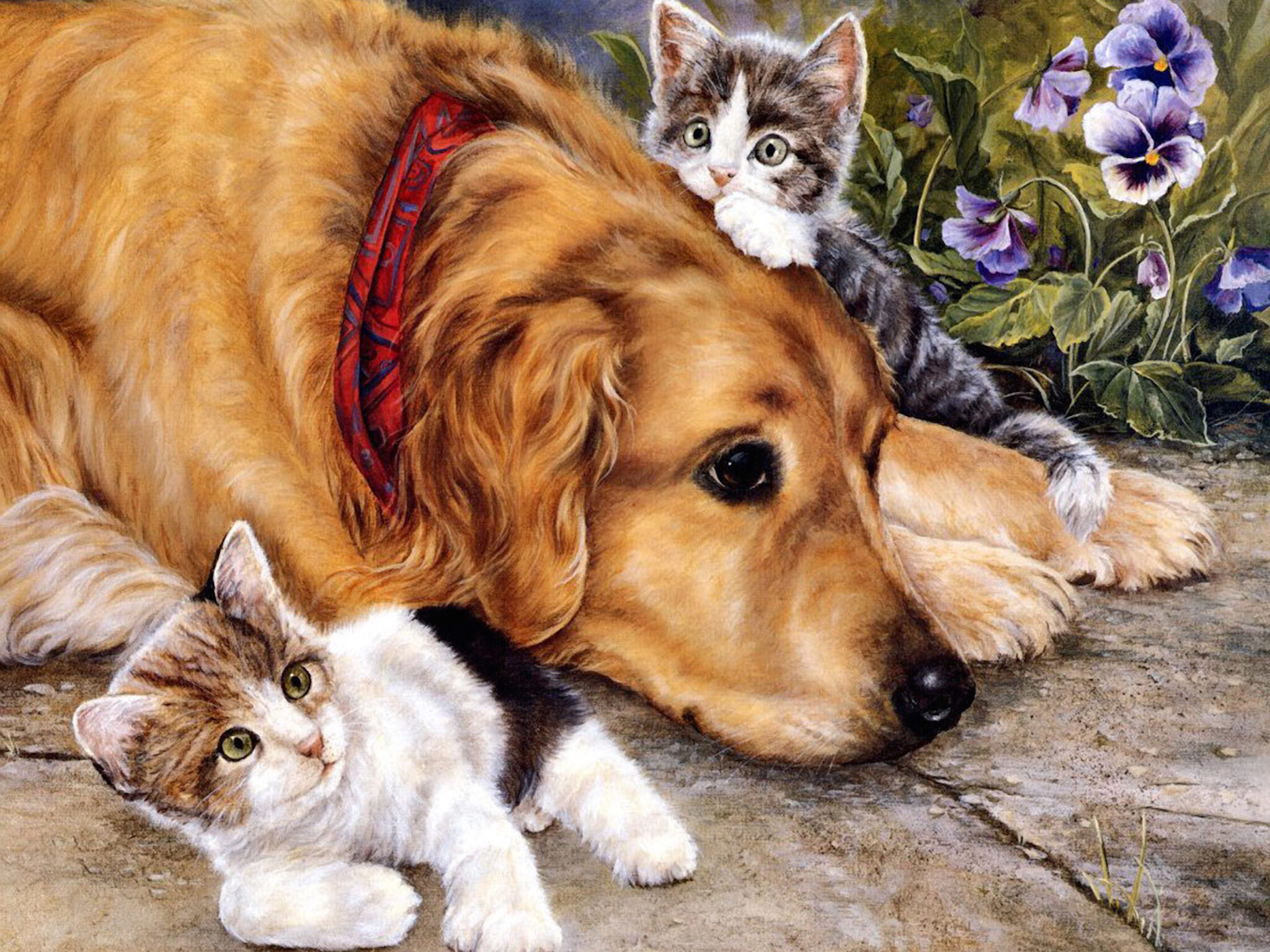 sweet dog with kittens painting wallpaper — golden retriever lying down with two tabby kittens climbing on it with purple pansies in background