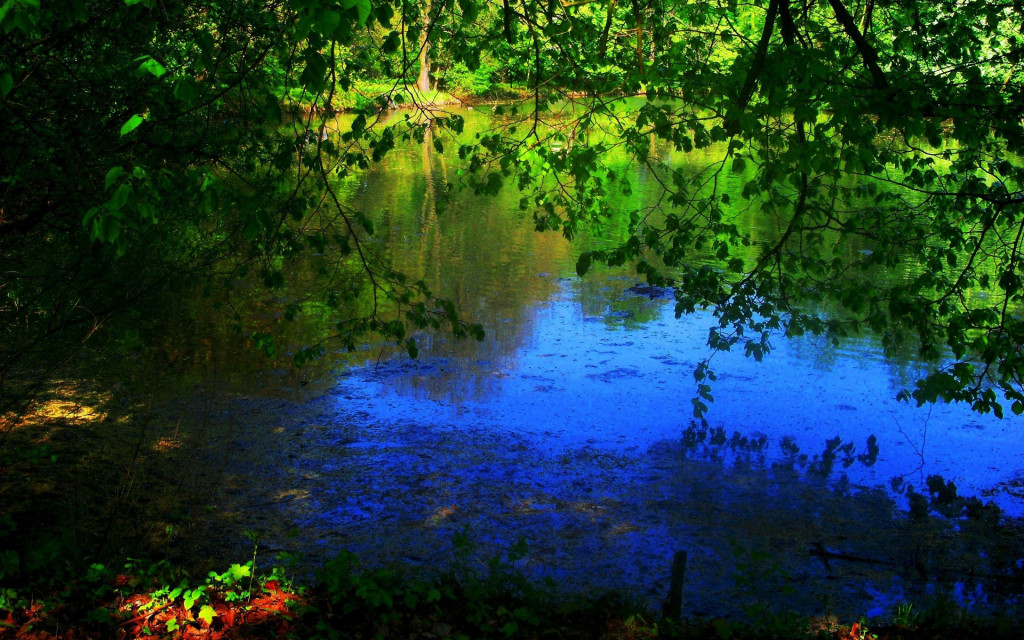 Landscapes 54