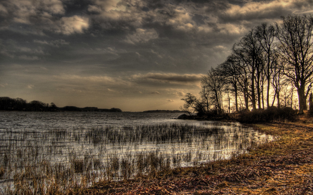 Landscapes 72