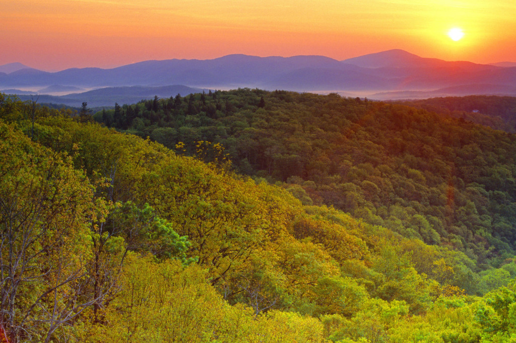 Nature 109.jpg