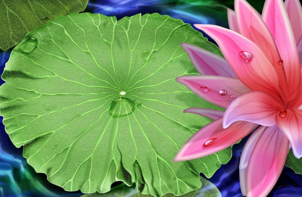 Lotus flower painting wallpaper — digital painting of a large green lotus leaf with jewel-like water droplets beside a glowing pink water lily