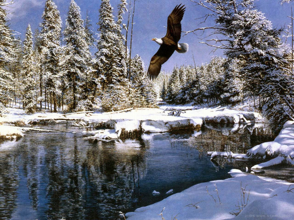 bald eagle winter river painting wallpaper — bald eagle in flight over snow-covered river with pine trees in winter landscape