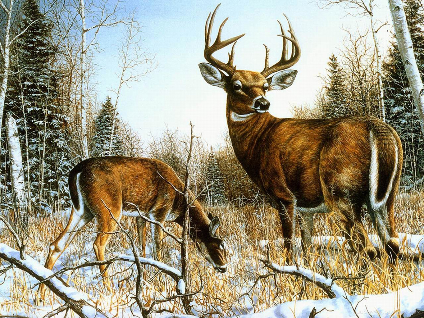 Whitetail deer painting wallpaper — large buck with antlers standing in snowy winter forest with doe grazing in foreground