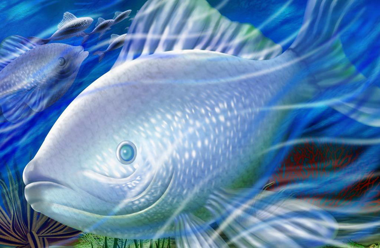 Underwater fish painting wallpaper — hyper-realistic digital art of large silver fish in blue underwater scene with smaller fish behind