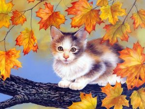 Fall foliage kitten painting wallpaper — painting of a calico kitten perched on a branch surrounded by glowing autumn maple leaves