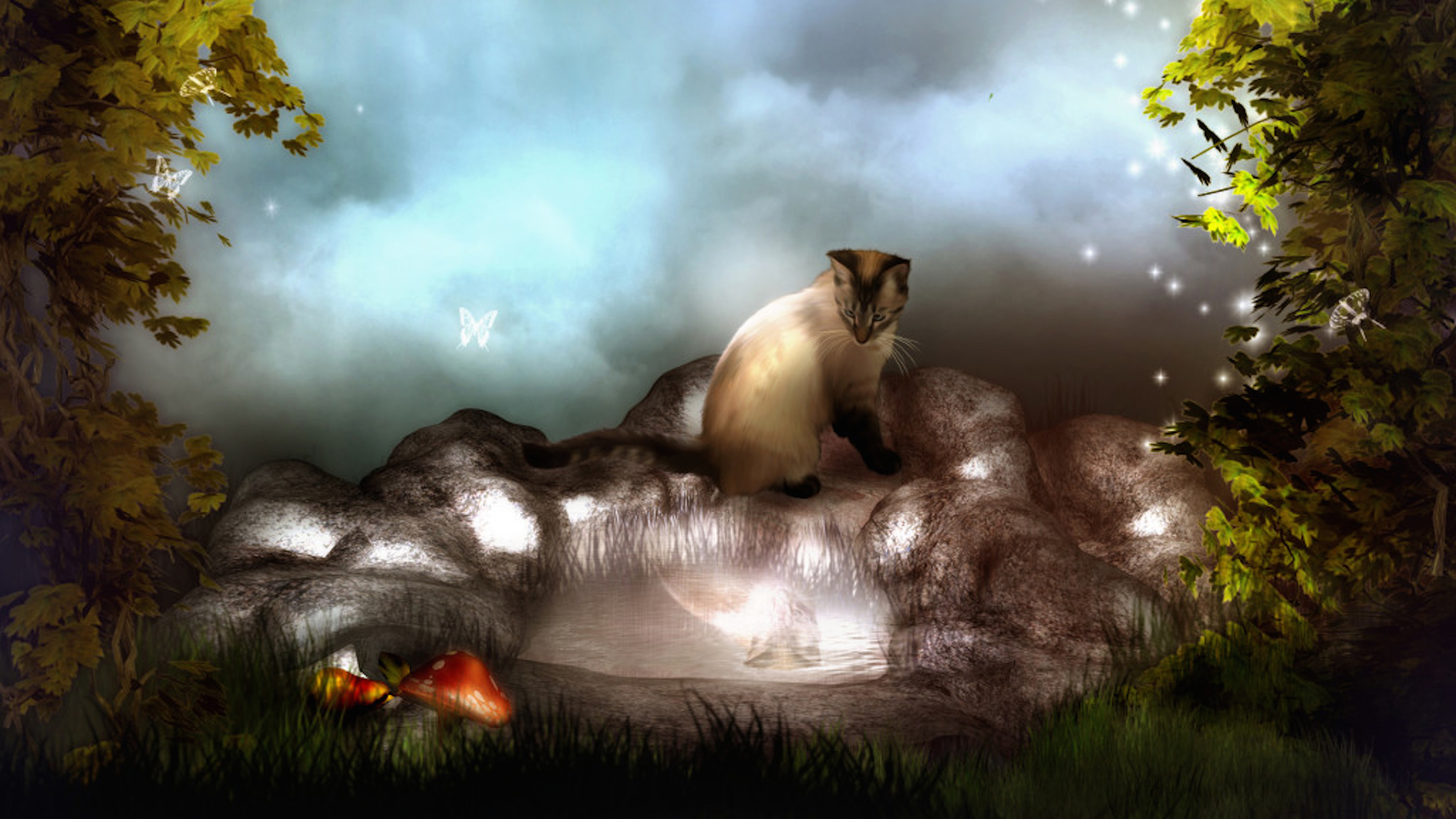 Fantasy Cat Wallpaper2