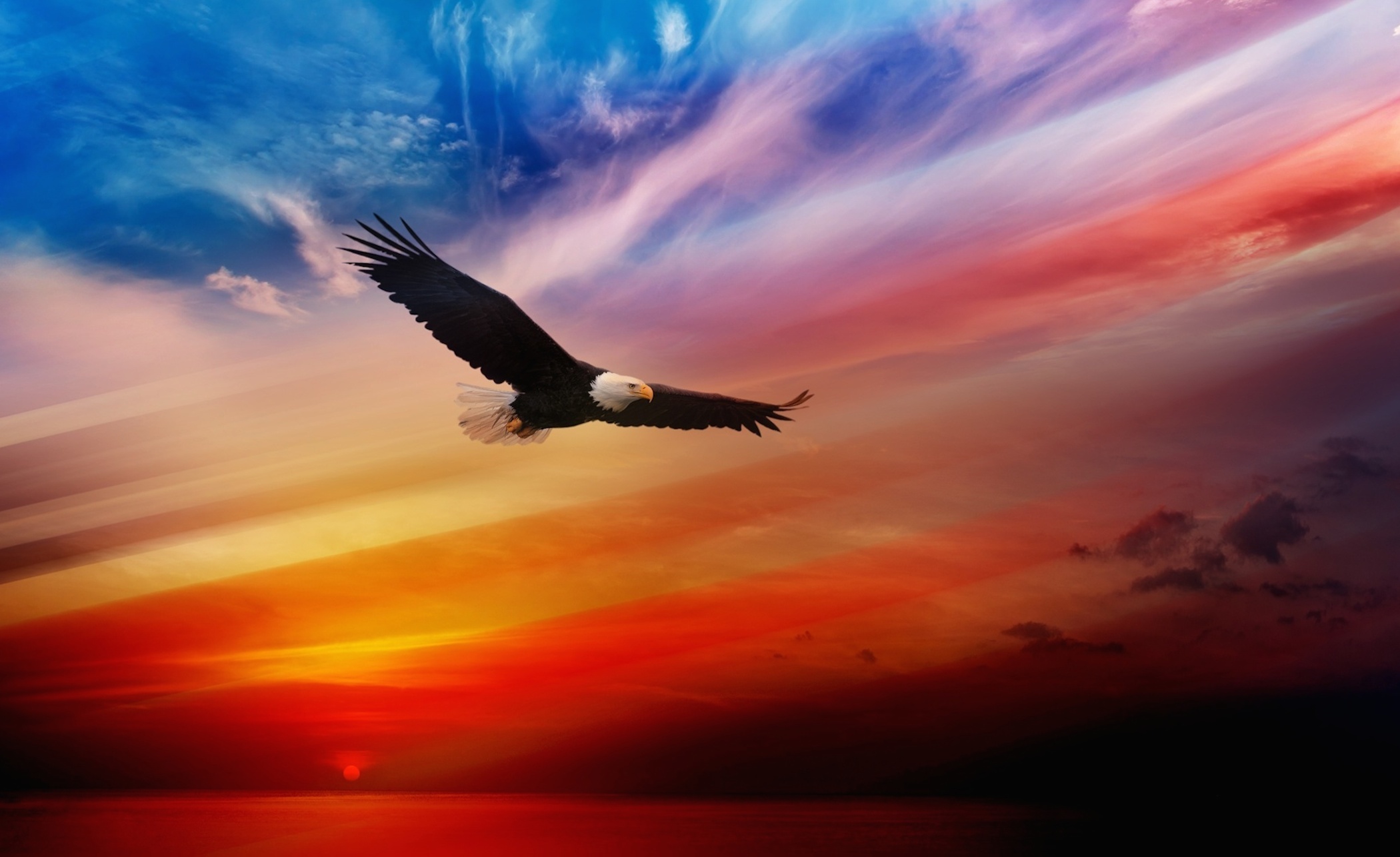 Eagle Soaring Wallpaper