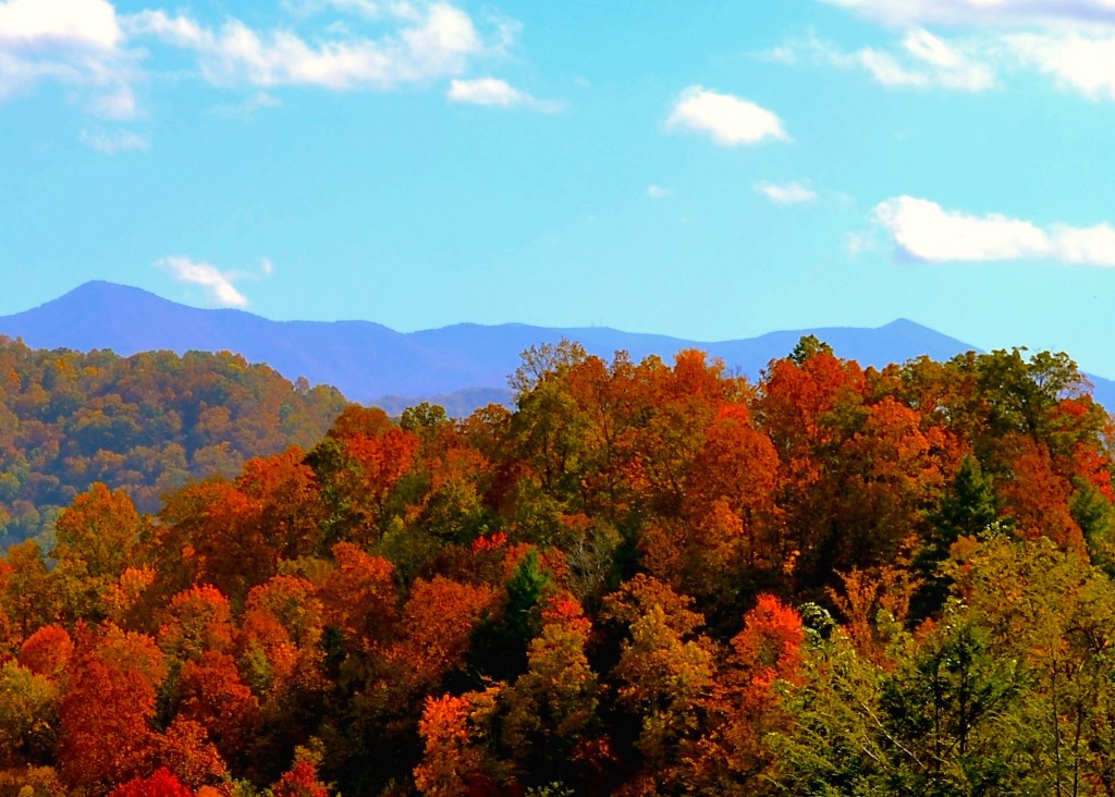 fall-colors-north-carolina-mountains-wallpaper