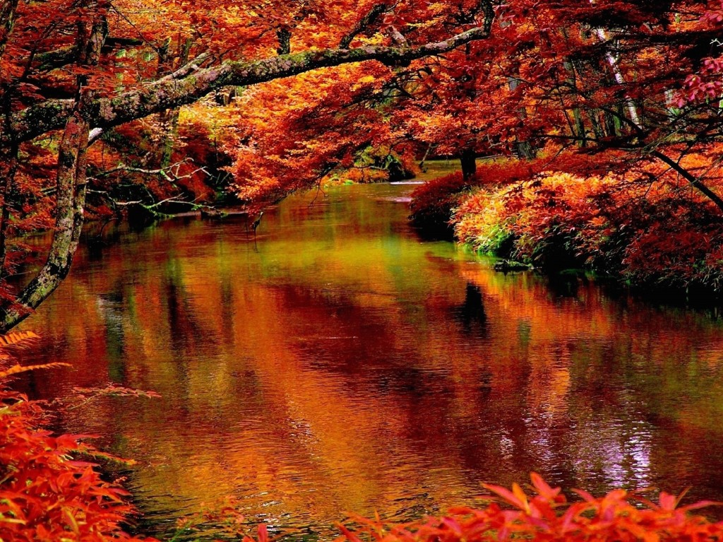 autumn-creek-wallpaper