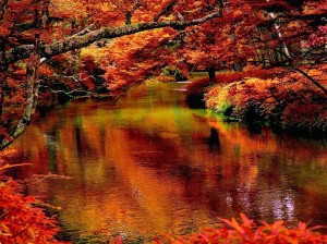 autumn-creek-wallpaper