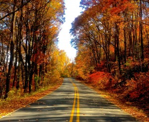 autumn-road-hd-wallpaper