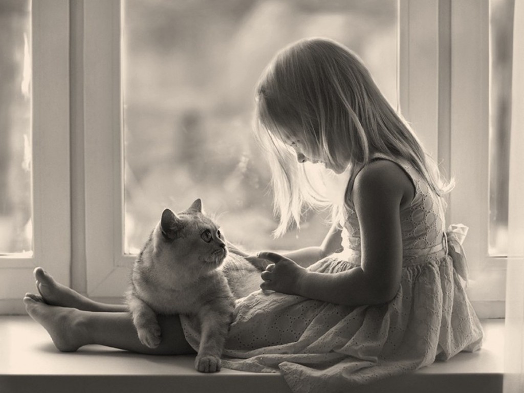cat-affection-wallpaper