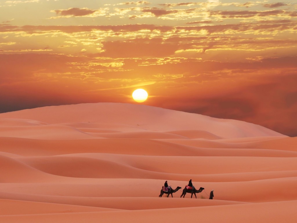desert-journey-wallpaper