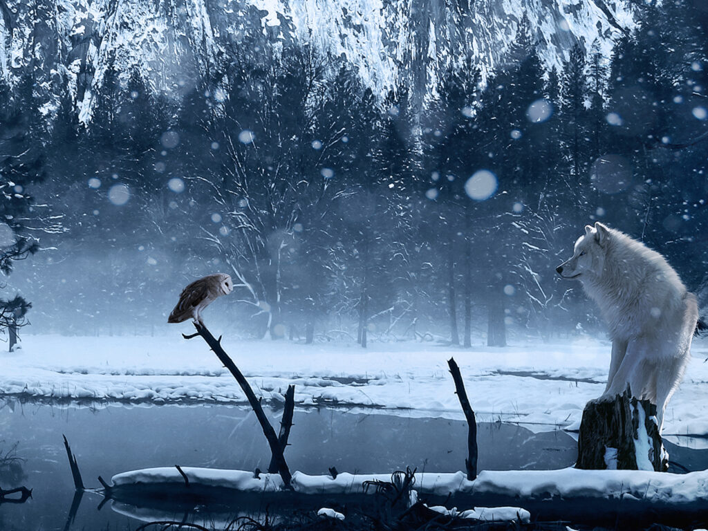 Wolf Stares Down Owl wallpaper — digital art of white wolf and barn owl facing each other across frozen river in snowy winter forest
