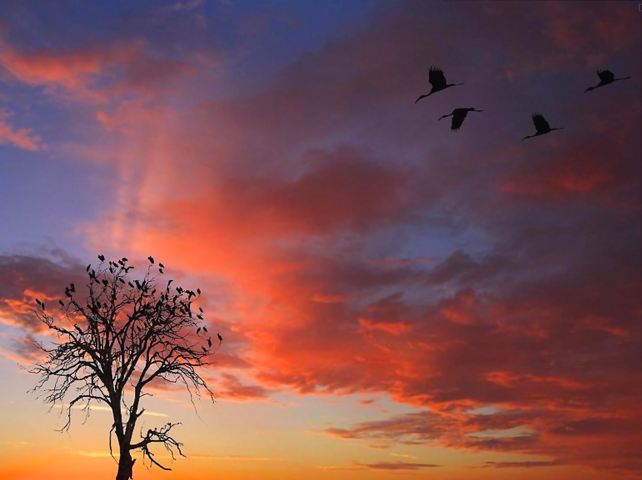 glowing-sky-wallpaper