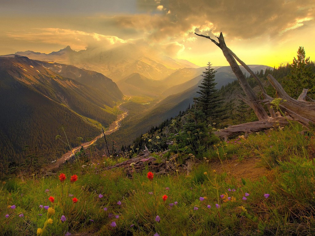 misty valley wallpaper — mountain valley panorama with golden storm light Indian paintbrush wildflowers pine forests and dramatic clouds