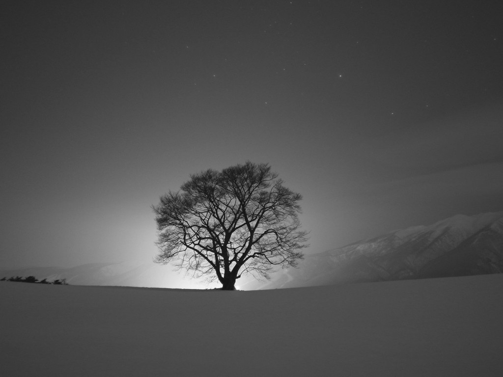 quiet-winter-night-wallpaper