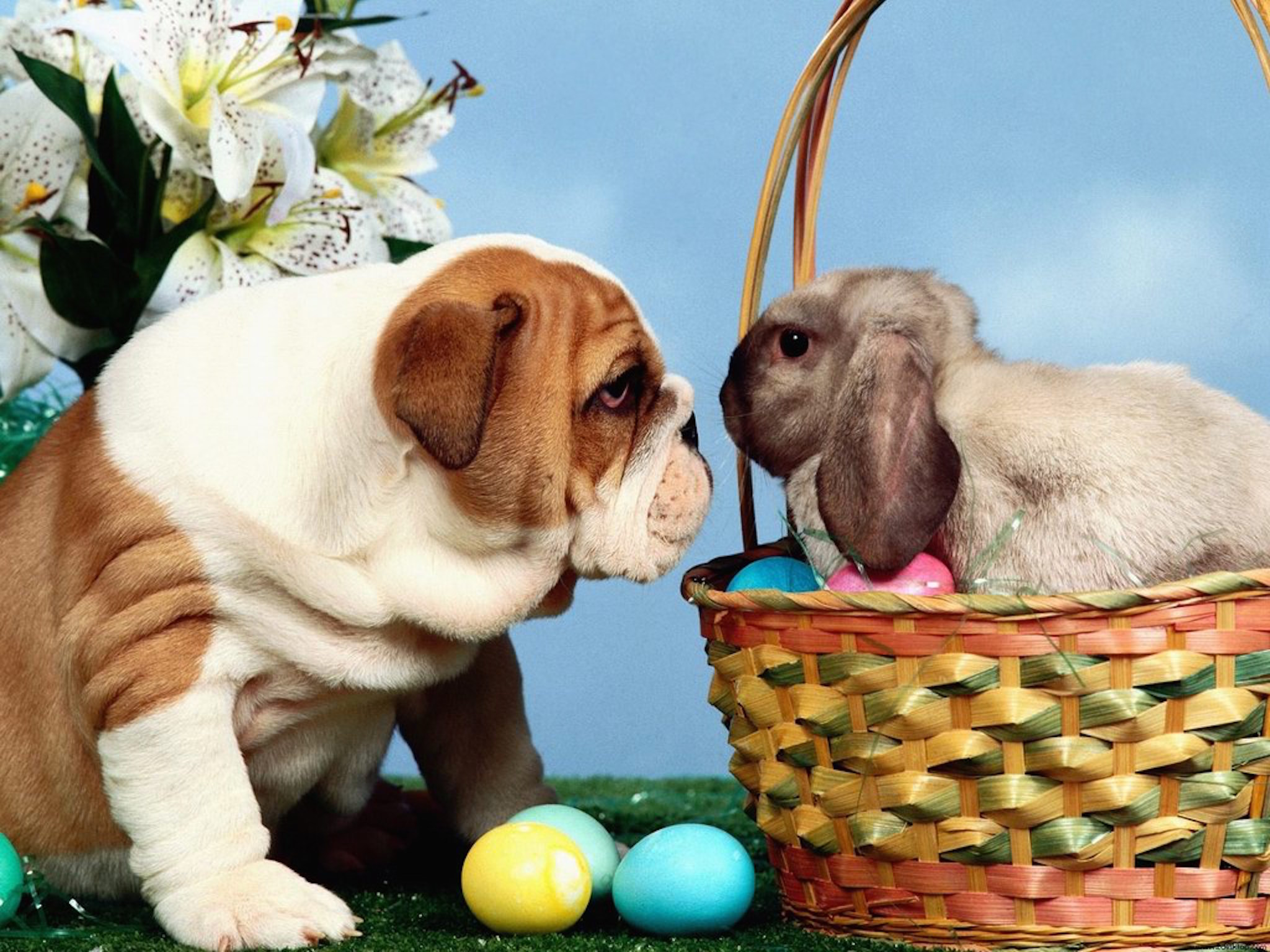 Easter Greeting Wallpaper