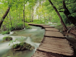 plitvice-lakes-national-park-croatia-wallpaper